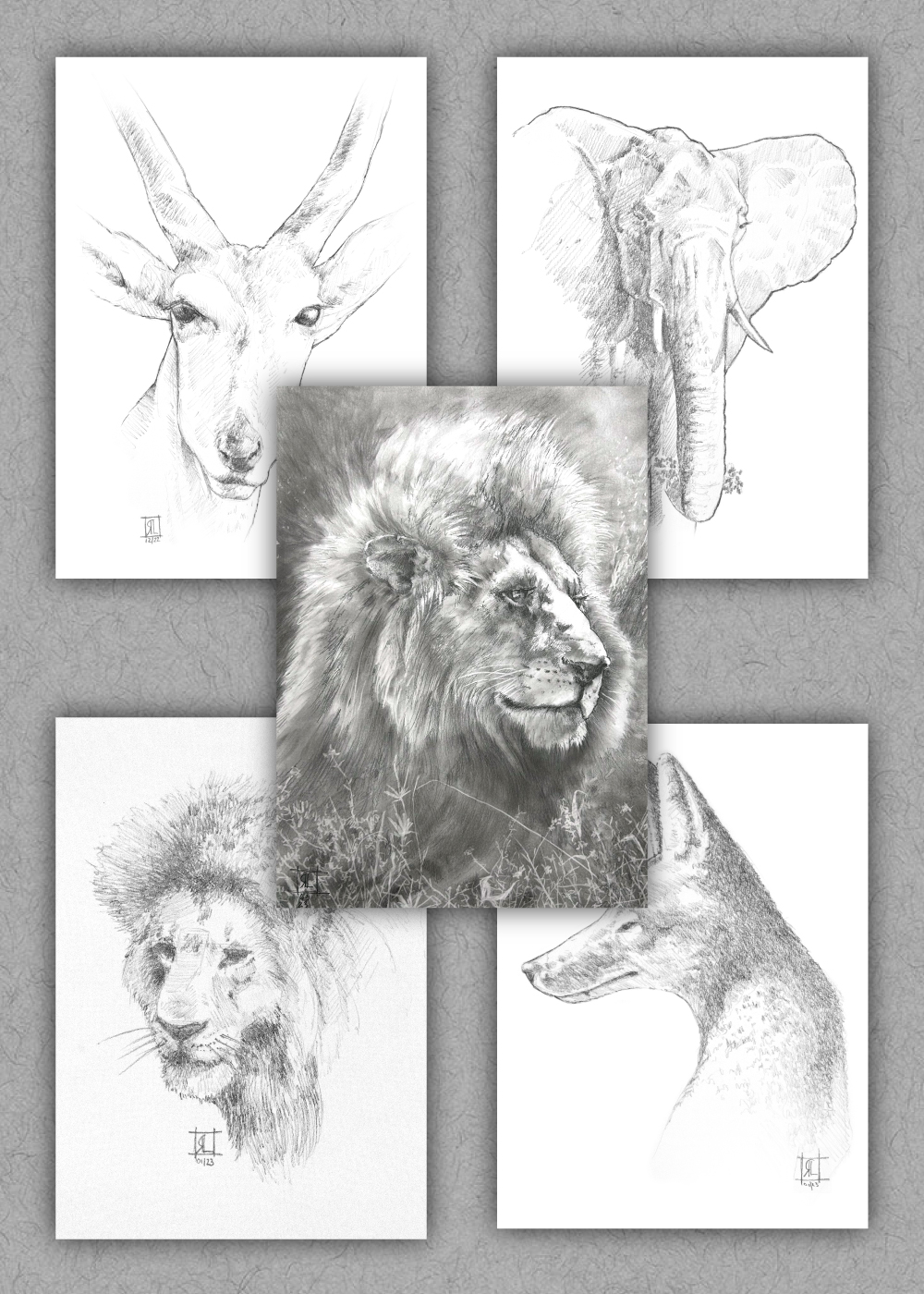 African Animals Card Collection