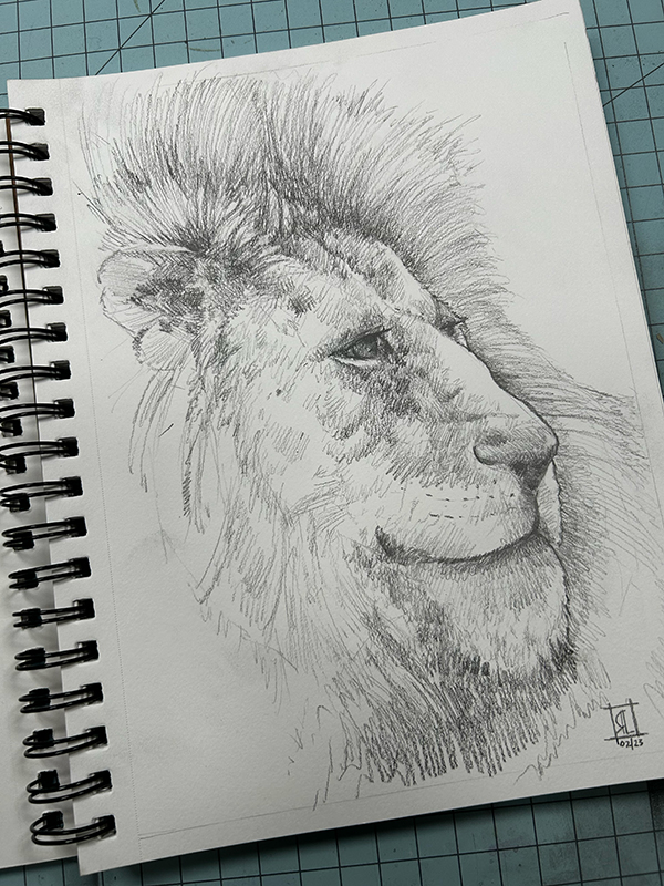 The Lion Sketch