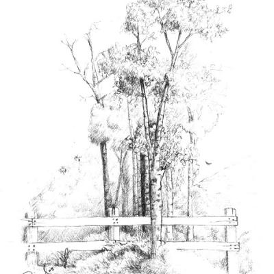 The Grove